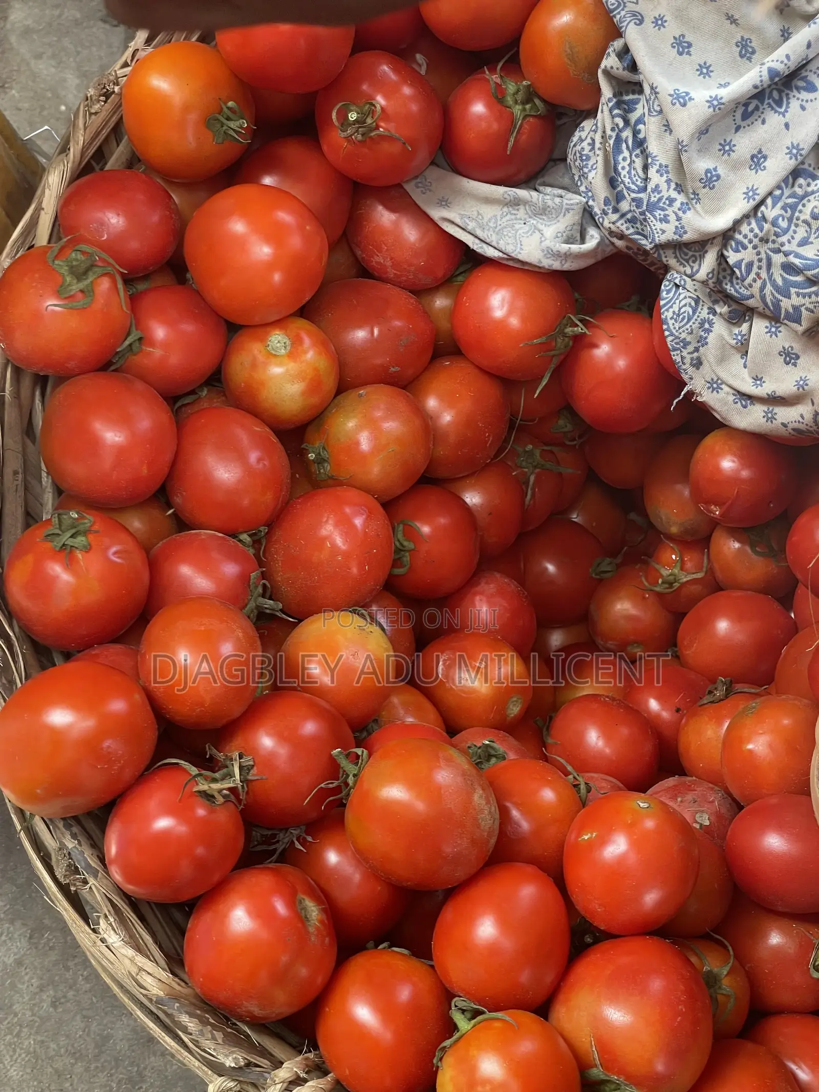 Fresh Tomatoes at an Affordable Price