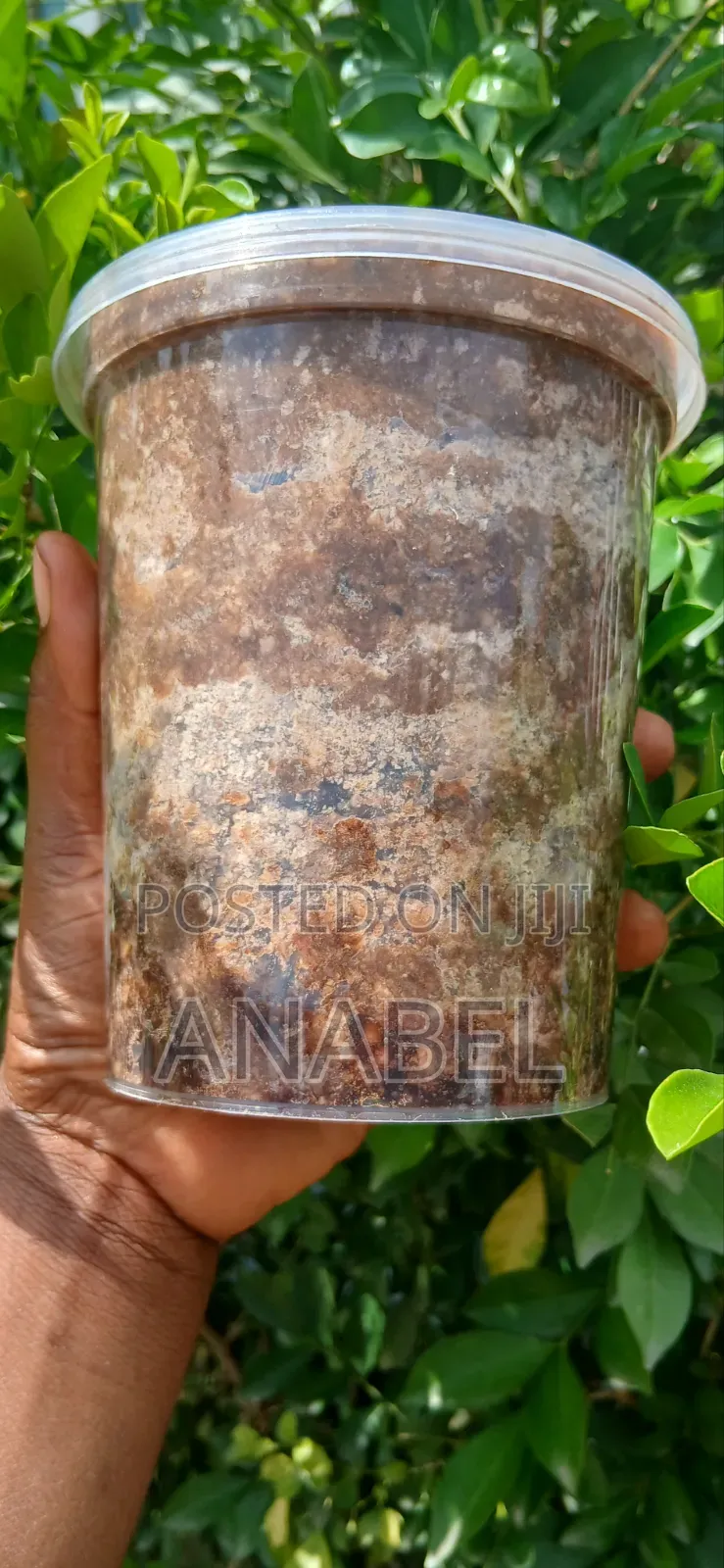 Century Traditional African Black Soap