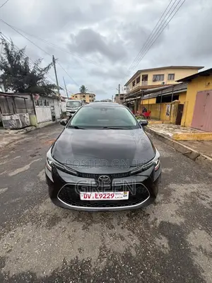Car 2022 White
