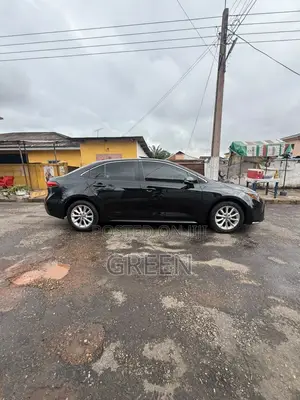 Car 2022 White