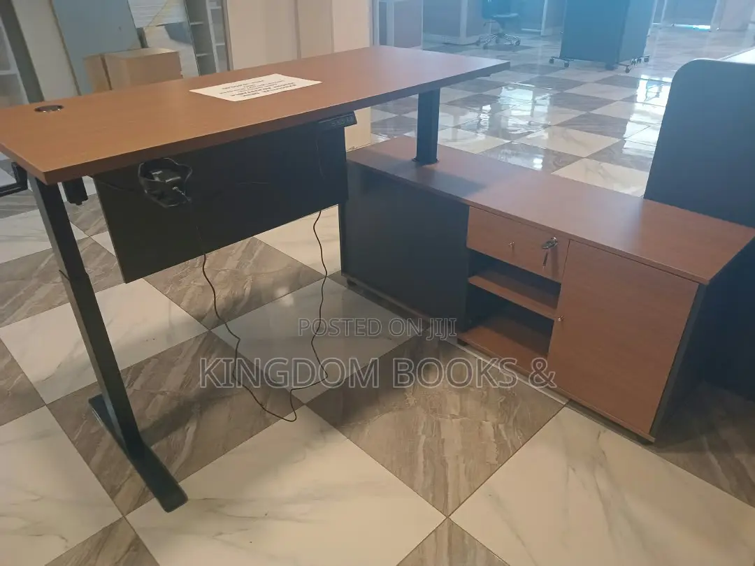 Modern Ergonomic Electric Sit-Stand Executive Desk (Model G25SJ14Z)