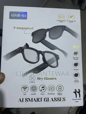 Ai Smart Sunglasses