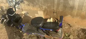 Motorcycle 2025 Blue