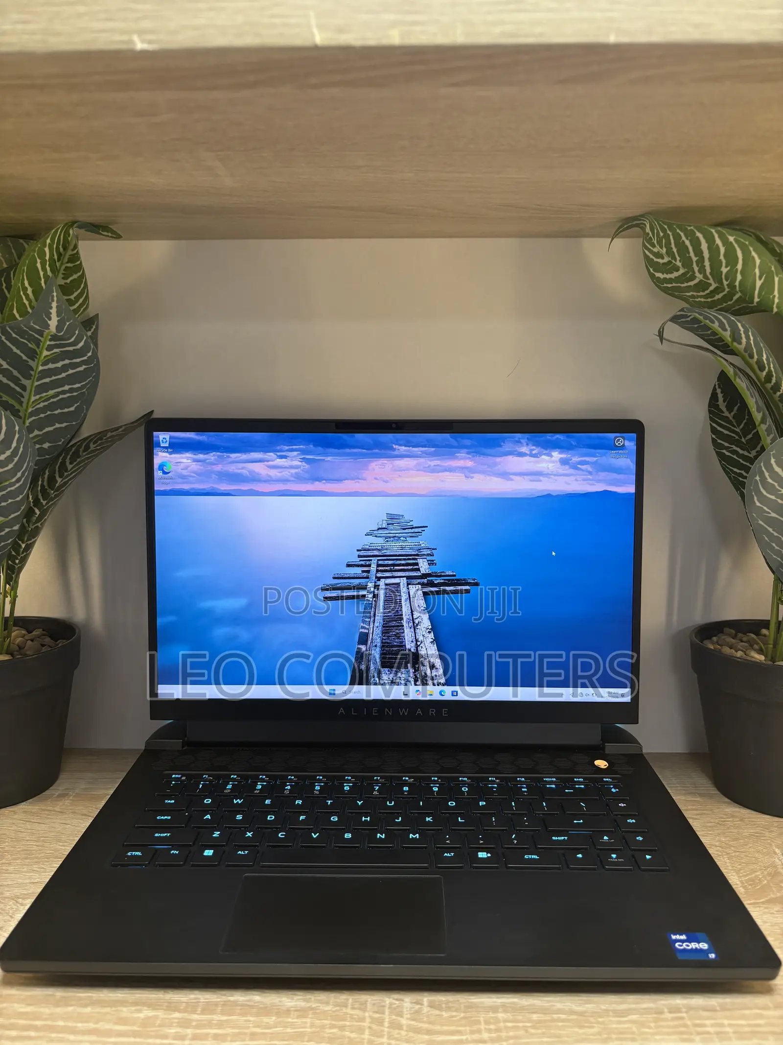 Laptop Alienware M15 R7 16GB Intel Core i7 SSD 1T