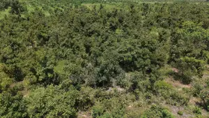 1,000 Acres of Farmland for Sale – Dromankuma, Bono East