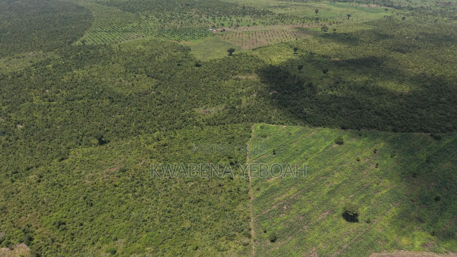 1,000 Acres of Farmland for Sale – Dromankuma, Bono East
