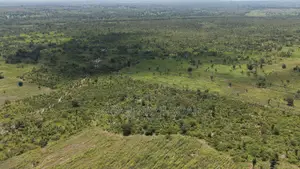1,000 Acres of Farmland for Sale – Dromankuma, Bono East