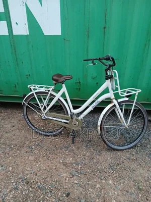 ALFA ESPIRITU City Bike