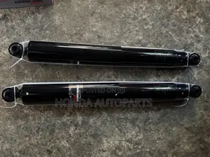 Ford F150 Back Shocks Absorber