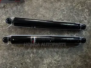 Ford F150 Back Shocks Absorber