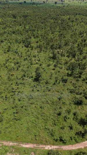 1,000 Acres of Farmland for Sale – Dromankuma, Bono East