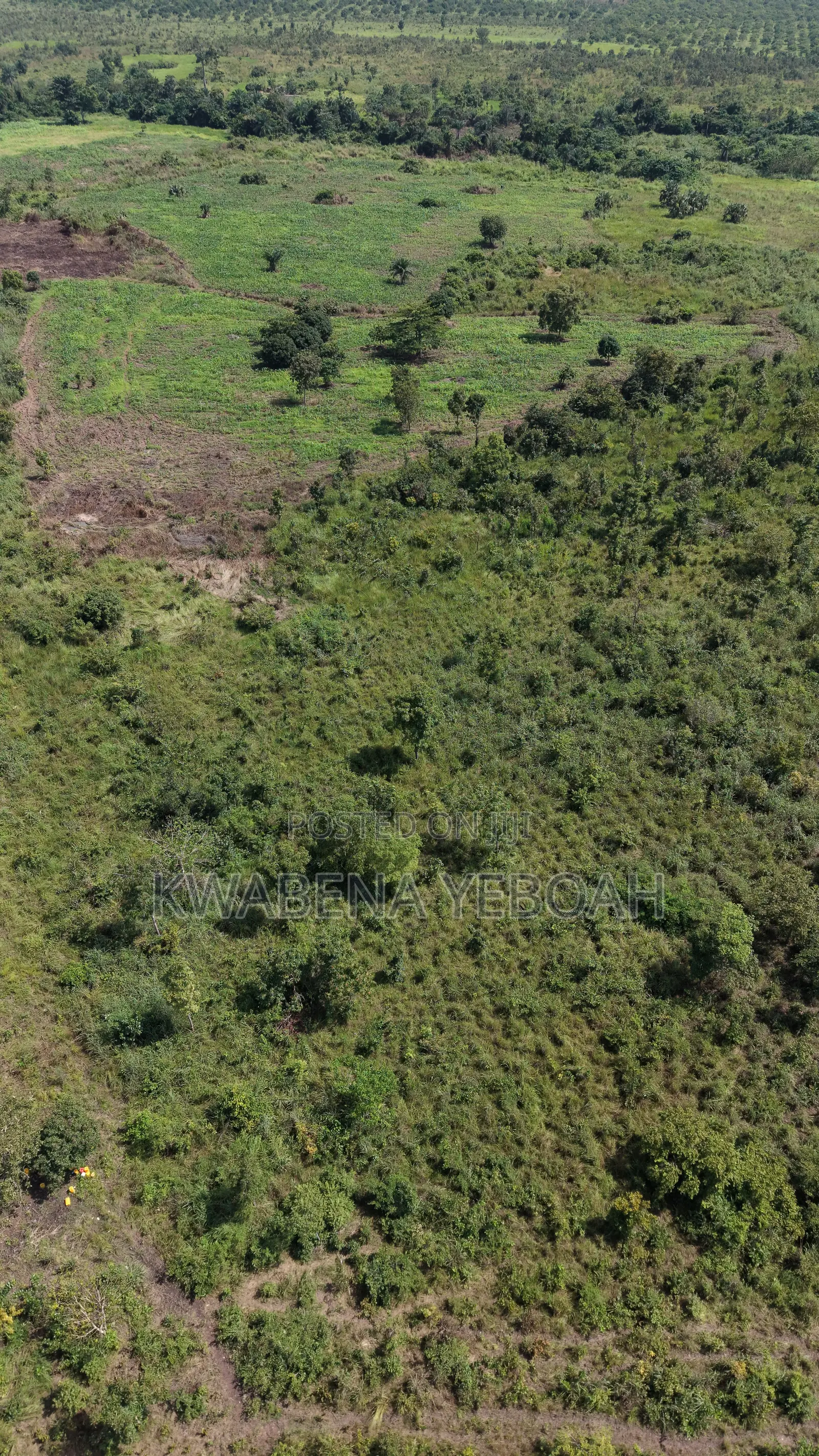 51 Acres of Farmland for Sale – Dromankuma, Bono East