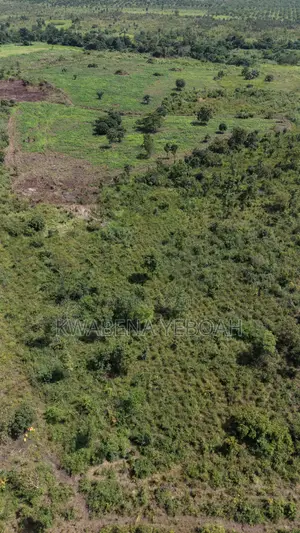 51 Acres of Farmland for Sale – Dromankuma, Bono East