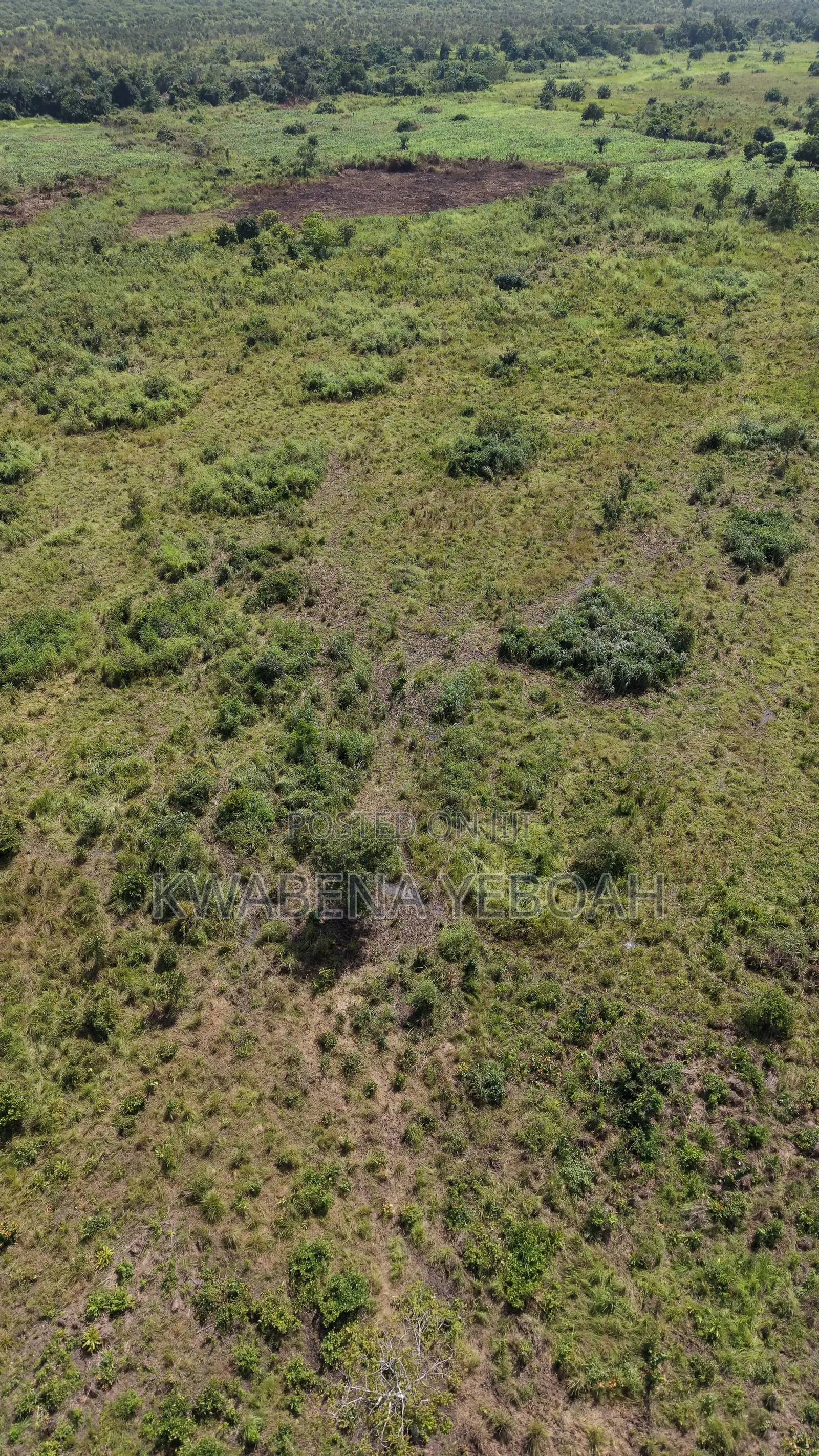 51 Acres of Farmland for Sale – Dromankuma, Bono East