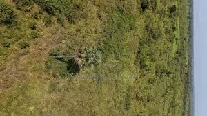 51 Acres of Farmland for Sale – Dromankuma, Bono East