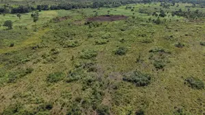 51 Acres of Farmland for Sale – Dromankuma, Bono East
