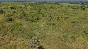 51 Acres of Farmland for Sale – Dromankuma, Bono East