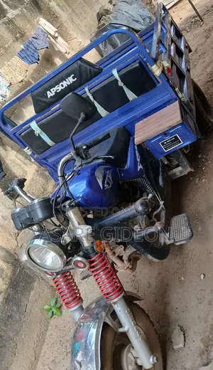 Apsonic AP150ZH-175 2025 Blue