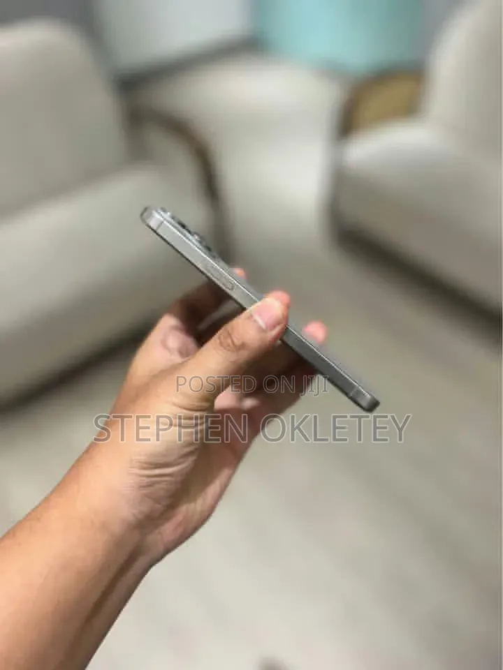 Apple iPhone 15 Pro Max 256 GB Silver