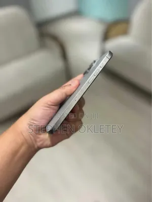 Apple iPhone 15 Pro Max 256 GB Silver