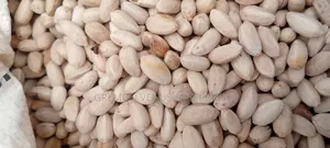 Neem Seeds