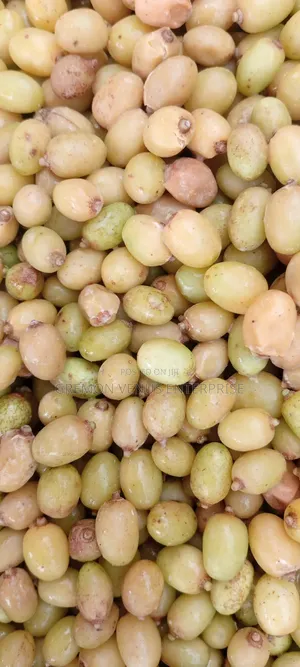 Neem Seeds