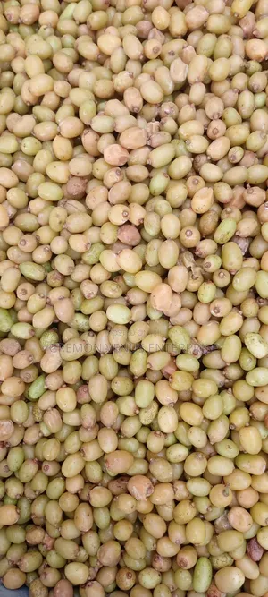 Neem Seeds