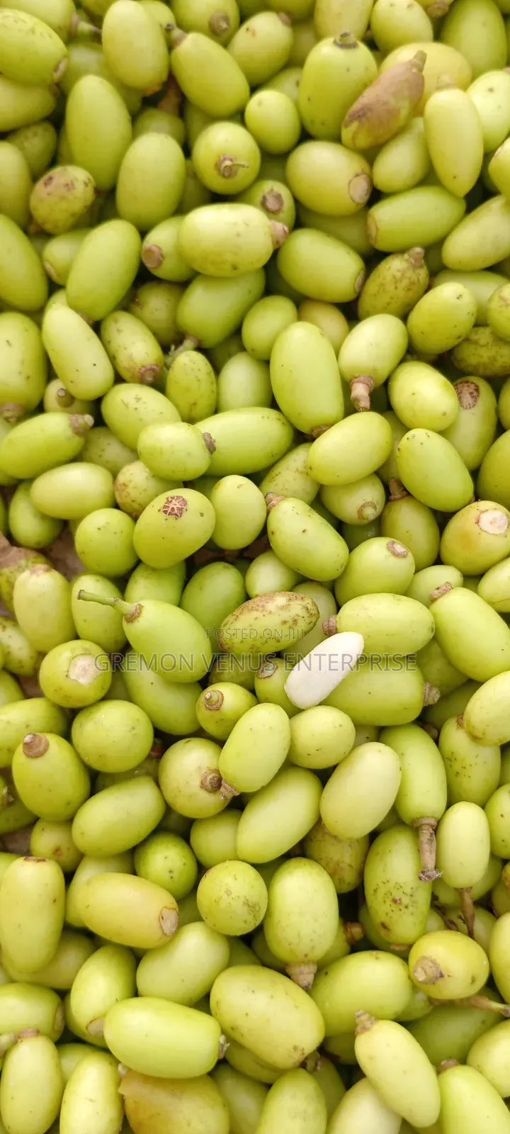 Neem Seeds
