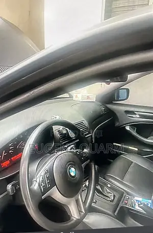 BMW 3 Series 318i RWD 2002 Black