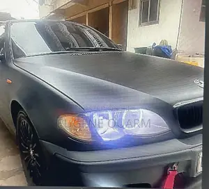BMW 3 Series 318i RWD 2002 Black