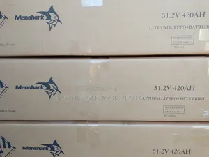 Lithium Battery LiFePO4 51.2V 420ah Deep Cycle Batteries