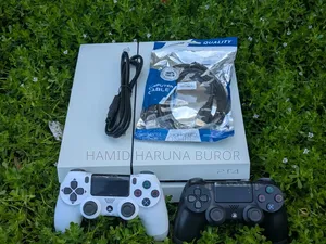 PS4 Standard Limited Edition (Jailbreak With Two Controllers)
