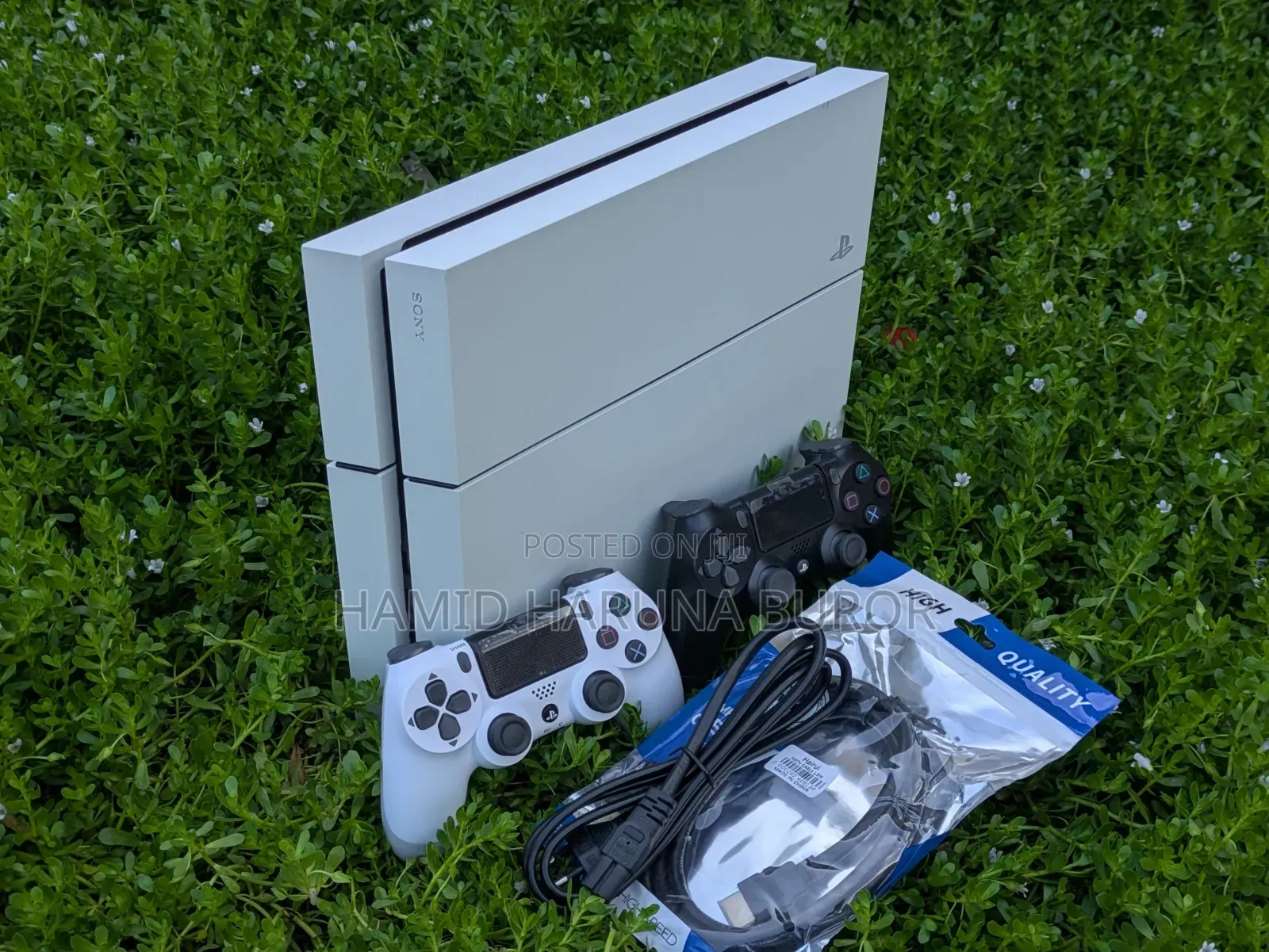 PS4 Standard Limited Edition (Jailbreak With Two Controllers)