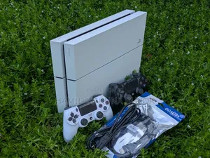 PS4 Standard Limited Edition (Jailbreak With Two Controllers)