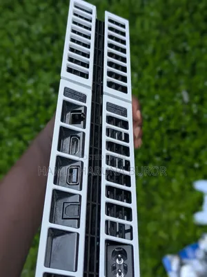 PS4 Standard Limited Edition (Jailbreak With Two Controllers)