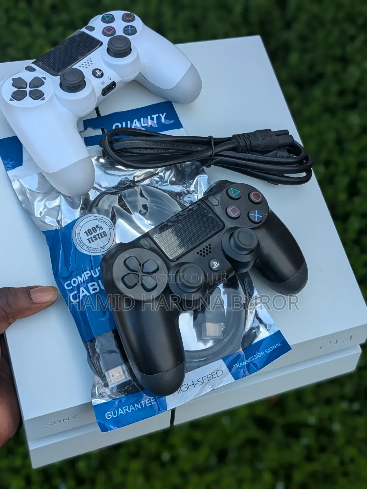 PS4 Standard Limited Edition (Jailbreak With Two Controllers)