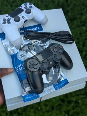 PS4 Standard Limited Edition (Jailbreak With Two Controllers)
