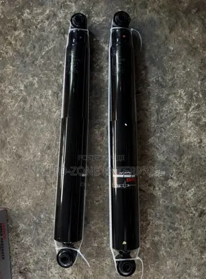 Ford F-150 Back Shorks Absorbers