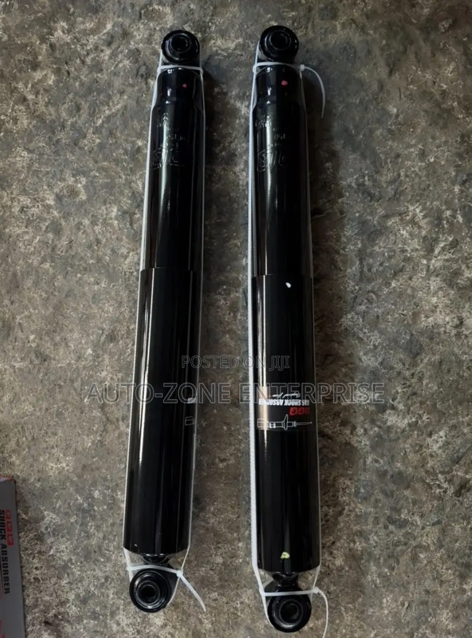 Ford F-150 Back Shorks Absorbers
