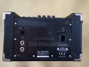 Phil Jones Bass Speaker