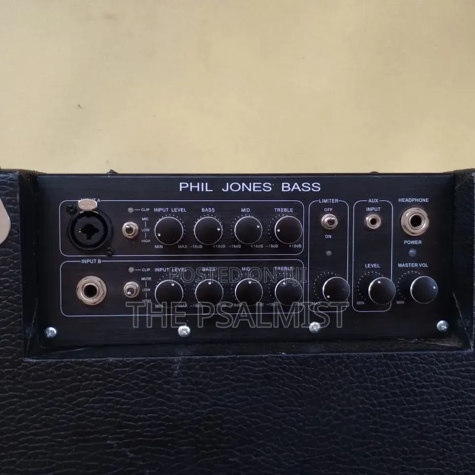 Phil Jones Bass Speaker