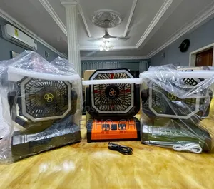 Chargeable Fans + Light