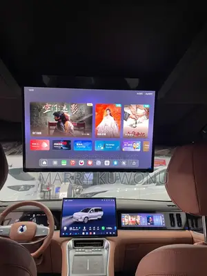 New Denza N9 2.0 Hybrid AWD 2025 Silver