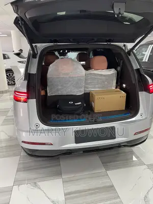 New Denza N9 2.0 Hybrid AWD 2025 Silver
