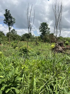 100 by 100 Feet Land for Sale at Kwanhoma Bedaase