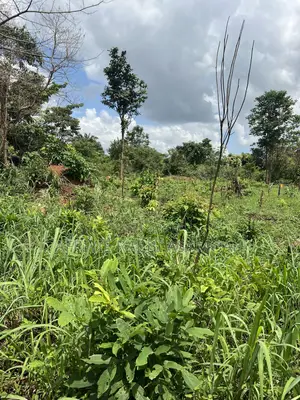 100 by 100 Feet Land for Sale at Kwanhoma Bedaase