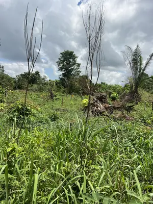 100 by 100 Feet Land for Sale at Kwanhoma Bedaase