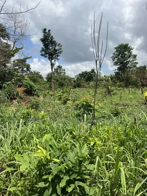 100 by 100 Feet Land for Sale at Kwanhoma Bedaase