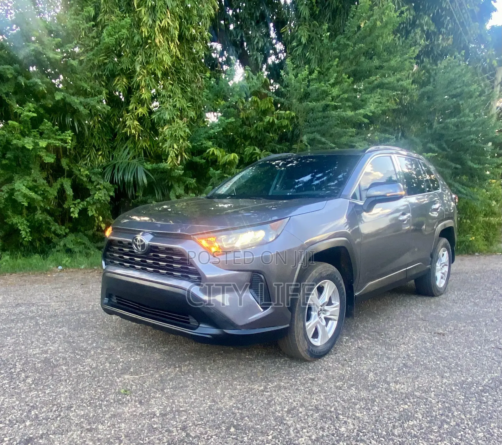 Toyota RAV4 LE 2022 Gray