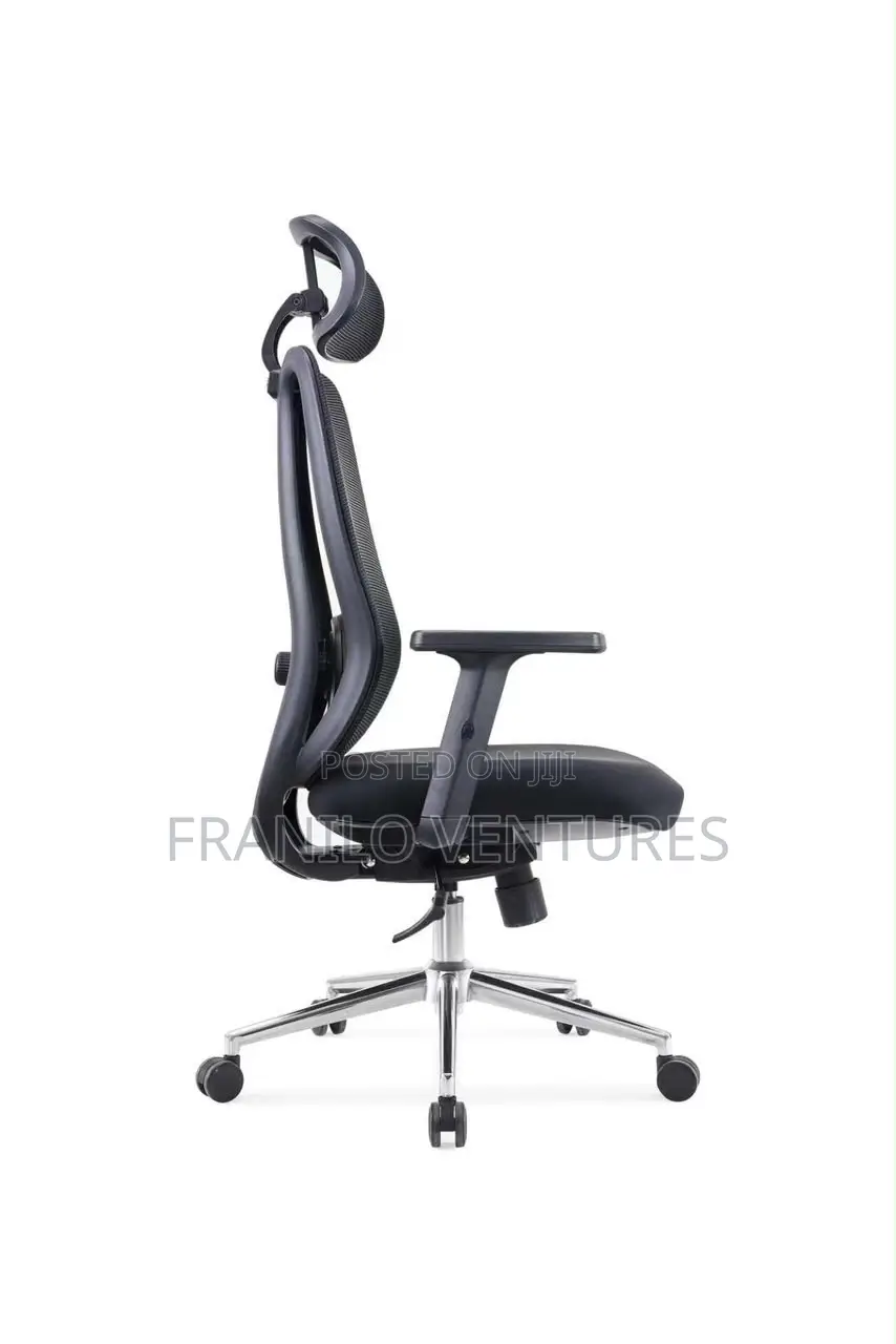 Ergonomic Mesh Office Chair With Lumbar Adjustment
